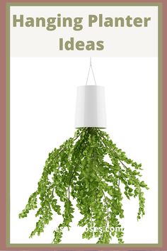 hanging planter ideas with text overlay that says hanging planter ideas on white background