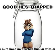 a glass jar with a squirrel in it and the caption reads, good he's trapped i sure hope no one fills this jar with curio