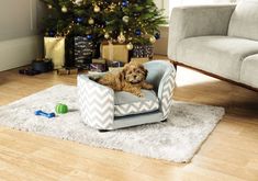 a dog sitting in a chair on the floor next to a christmas tree and presents