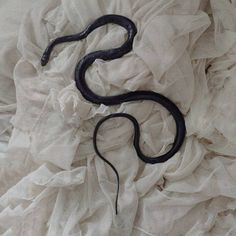 a black snake laying on top of white fabric