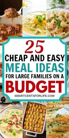 25 cheap and easy meal ideas for large families on a budget that are sure to make