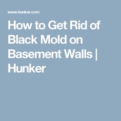 the words how to get rid of black mold / home talk on a blue background