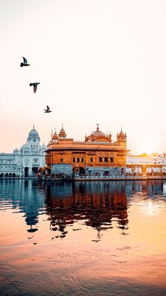 two birds flying over the water in front of a large white building with gold trim