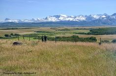 two people are standing in the middle of a field with snow capped mountains behind them