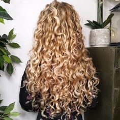 Long Curly Blonde Hairstyles, Long Blonde Curls Natural, Tiny Curls Long Hair, Blond Curly Hairstyles, Curly Long Blonde Hair, Golden Blonde Curly Hair, Long Curly Hair Cuts, Curly Hairstyles Blonde, Blonde Curly Hairstyles