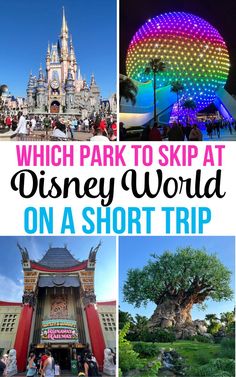 which park to skip at disney world on a short trip?