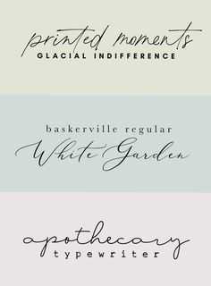 four different types of font that are in the same color scheme, one is black and white