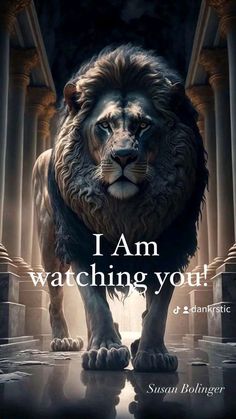 a lion with the words i am watching you