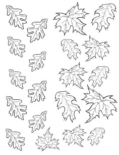 the leaves are drawn in black and white