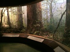 the inside of a museum with trees and water in it's display case,