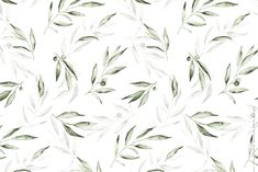 watercolor painting of green leaves on white background