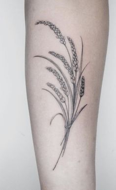 a black and white photo of a plant on the leg