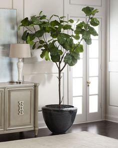 a potted plant sitting on top of a table