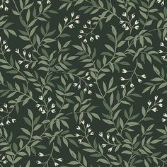 Sample Senna Evergreen Budding Vines Wallpaper Emerald Green Floral Wallpaper, Emerald Green Backdrop, Strip Wallpaper, Vines Wallpaper, Stripped Wallpaper, Brewster Wallcovering, Modern Mural, A Street Prints, Green Vines