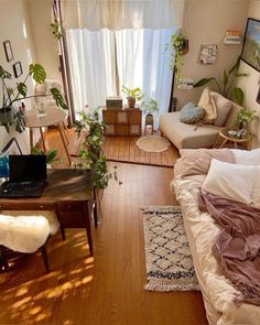 a living room filled with furniture and lots of plants on the windowsill, along with a laptop computer