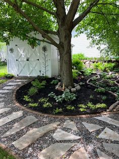 a tree that is sitting in the middle of a stone path next to a white shed