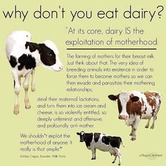 Dairy Quotes, Reasons To Be Vegan, Vegan Facts, Vegan Memes, Animal Activism, Why Vegan, Vegan Quotes, Animal Liberation, Vegan Humor