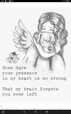 a drawing of an angel hugging a dog with the caption, some days your presence in my heart is so strong that my brain forgets you ever left behind