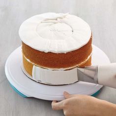 a person cutting a cake with a knife