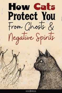 the cover of how cats protect you from ghost and negative spirits