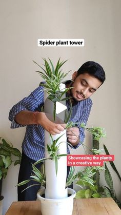 a man standing next to a plant in a white vase