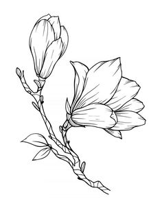 Flor Tattoo, Doodle Art Flowers, Beautiful Flower Drawings, Flower Drawing Tutorials, Flower Outline, Flower Art Drawing, Outline Drawing