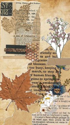 an altered collage with leaves and flowers on it's side, including the words