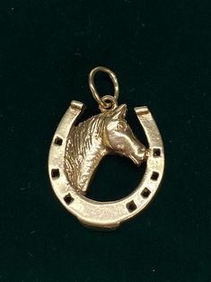 a horse head in a horseshoe charm on a black background