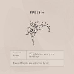 an image of a flower with the words freesia on it's back side