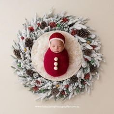 a newborn baby is wrapped in a red and white knitted blanket surrounded by pine cones