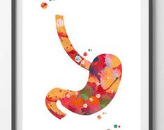 a colorful poster with the letter c in it's lower half and bottom half