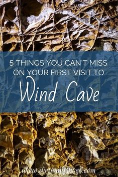 the words 5 things you can't miss on your first visit to wind cave