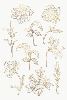 an image of flowers drawn in gold on white paper