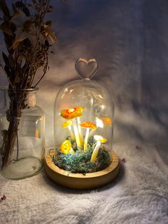 mushrooms in a glass dome with moss and flowers