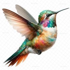 a colorful hummingbird flying in the air with its wings spread out and it's beak