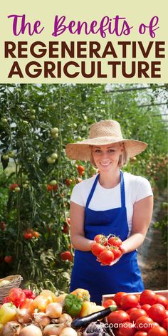 regenerative agriculture Regenerative Agriculture, Plastic Free Living, Home Grown Vegetables, Permaculture Gardening, Permaculture Design, Urban Homesteading, Food Forest