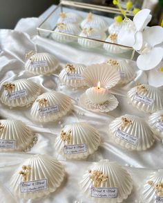 there are many seashells on the table with name tags in front of them