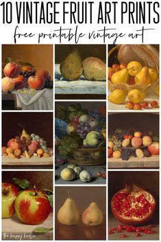 the top 10 vintage fruit art prints for free printable images are in this article