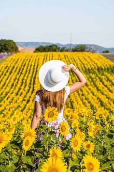 a woman standing in a field of sunflowers with her back to the camera