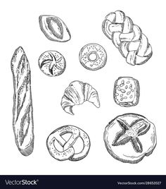 different types of breads and pastries drawn by hand