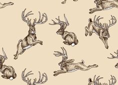 an image of some deers in the air with antlers on their back legs