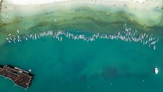 an aerial view of boats in the water