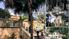 several pictures of people walking up and down stairs in front of houses with palm trees