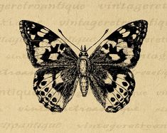 a black and white butterfly sitting on top of a piece of paper with writing underneath it