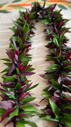 some very pretty purple flowers on a table top with green leaves and red stems in the middle