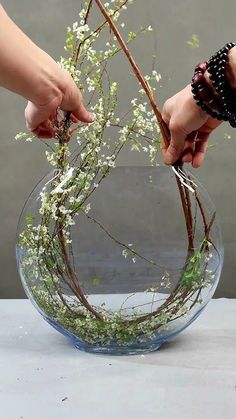 two hands are holding twigs and white flowers in a glass bowl with water on the table