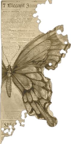 a drawing of a butterfly on top of a piece of paper with words written below it