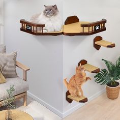 a cat sitting on top of a wooden shelf