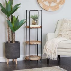 a living room with a potted plant next to a shelf