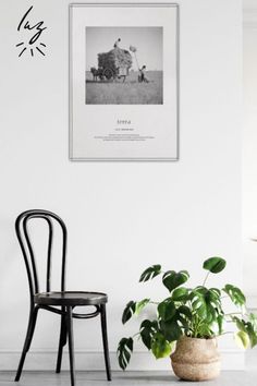 a chair sitting next to a potted plant in front of a wall mounted photo